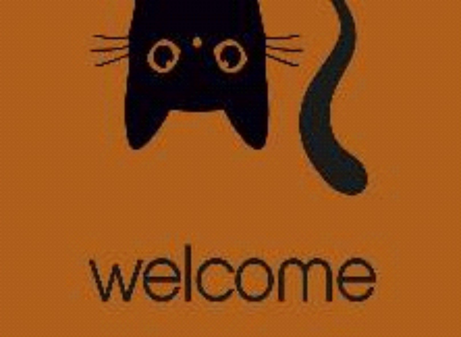 Коврик придверный 50*80см Dekorelle LAPSHA 133