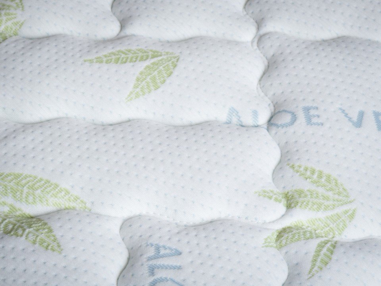 efb09316-e48c-11e7-9677-2c768a5115e1_27f1a8d5-a68b-11ec-bbbe-54bf64fc91d5