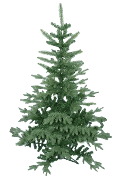 Ель северянка СЕ12