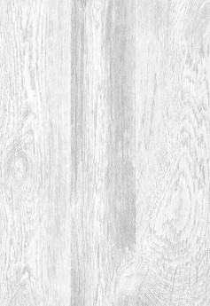 Панель ПВХ 0,250*2,7м №878/1 Пепельный дуб