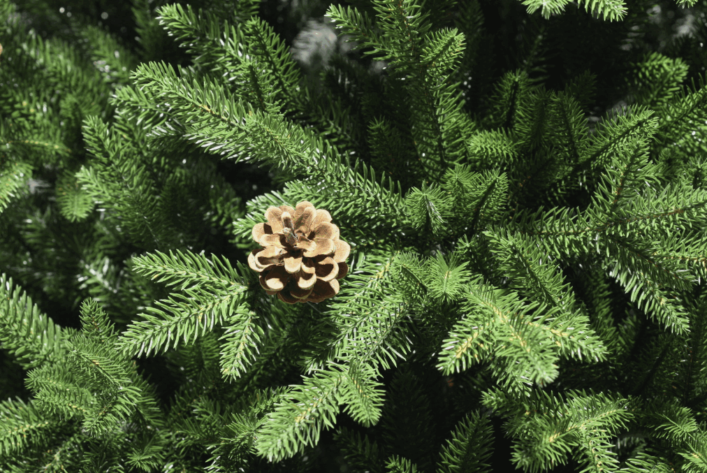 Ель искусственная Монтана Премиум зеленая с шишками 2,7м 1036227