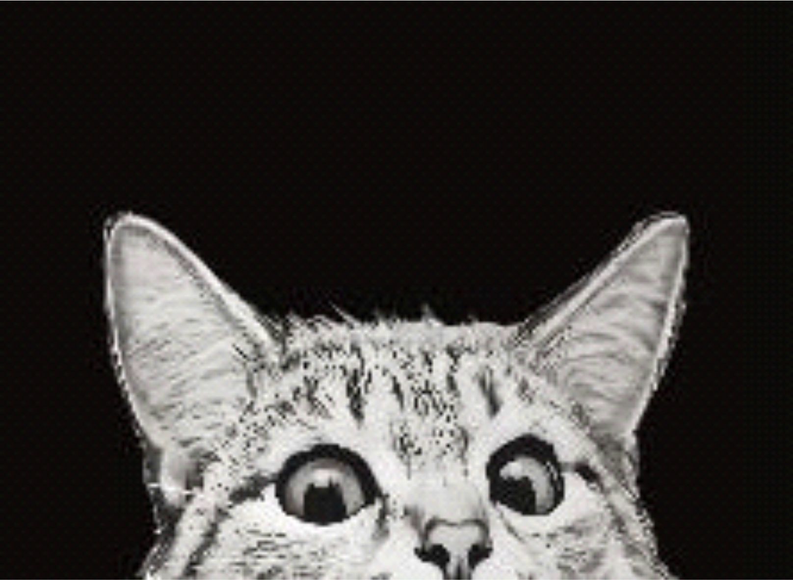 Коврик придверный 60*90см Dekorelle LAPSHA 198