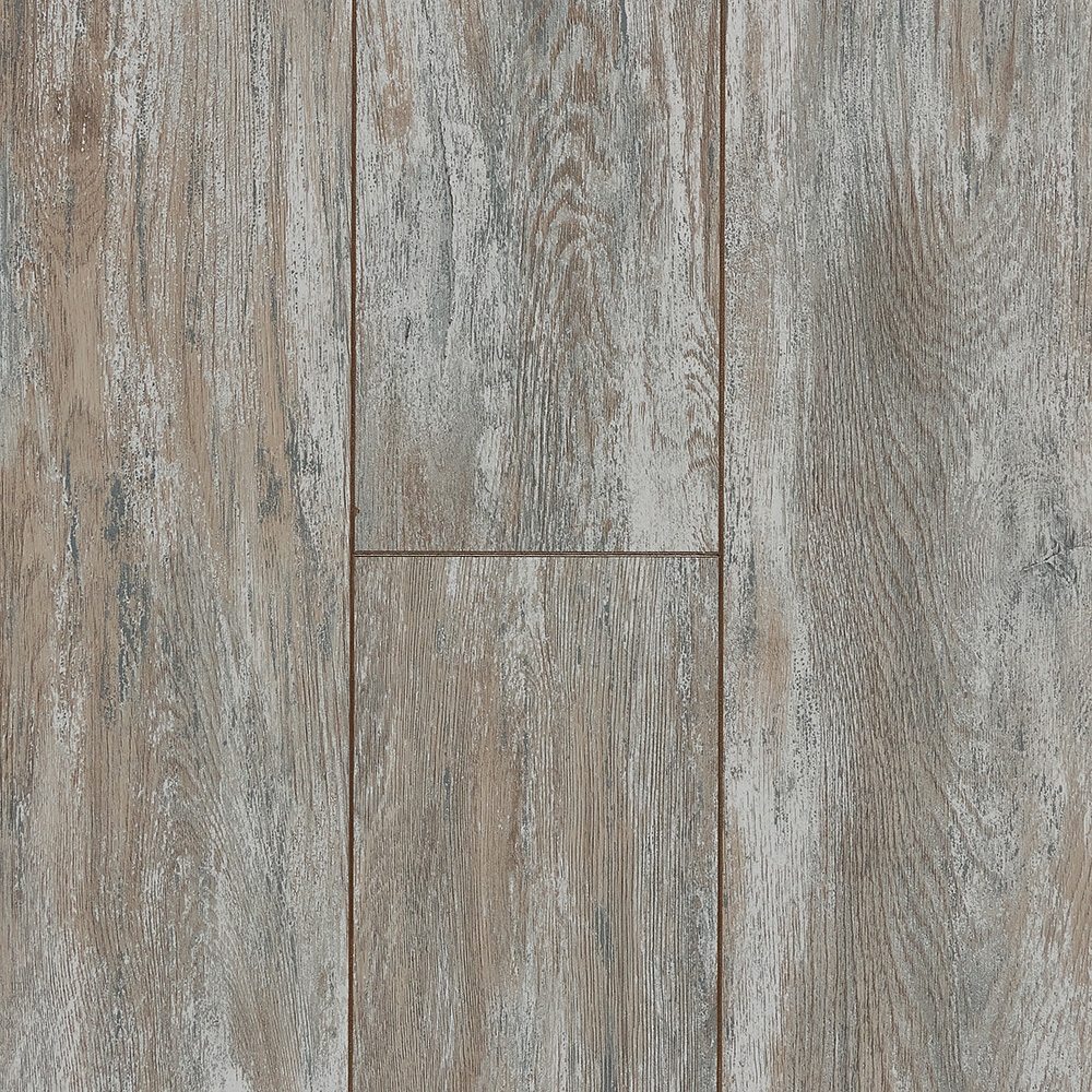 e46306b3_1968_11ee_8cd7_ac1f6bd2c4d7_e46306b5_1968_11ee_8cd7_ac1f6bd2c4d7