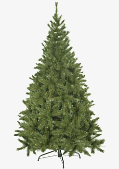 Ель фея леса ФЛ21