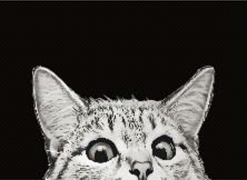 Коврик придверный 60*90см Dekorelle LAPSHA 198