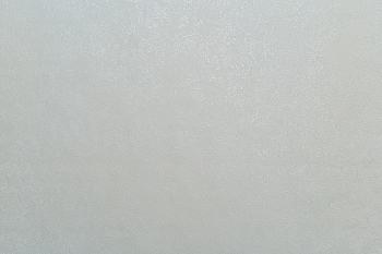 Обои декор г.т. на флиз. основе арт.11239-04 DOMINGO Форест-уни , 10м*1,06м